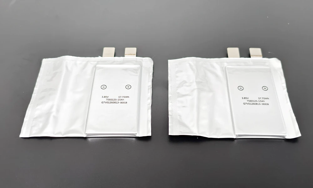 15Ah 3.85V Anode-Free Pouch Cell 15Ah 3.85V Anode-Free Pouch Cell